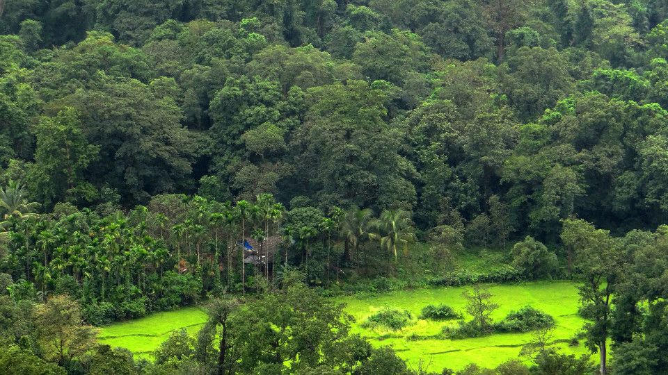 Cheap flights from London to Goa, India for only ₹23600 roundtrip